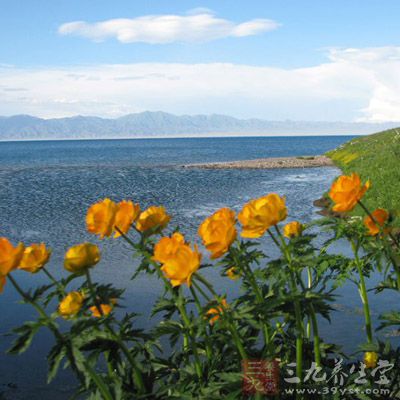 在新疆旅游出发前应注意收听收看目的地的天气预报