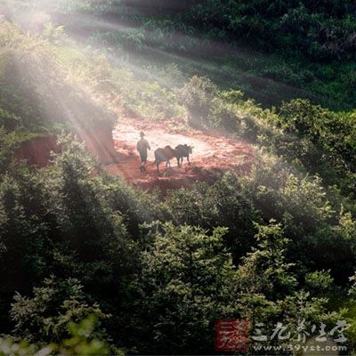 余杭山沟沟