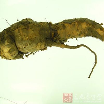 磨汁涂或研末調(diào)敷