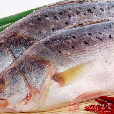 鲈鱼是一种非常美味的食材，也是中国多种名菜的主要食材之一