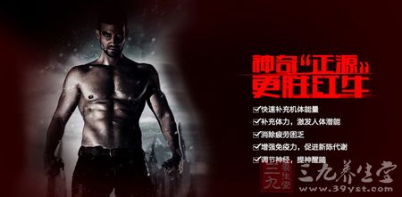 快速补充机体能量