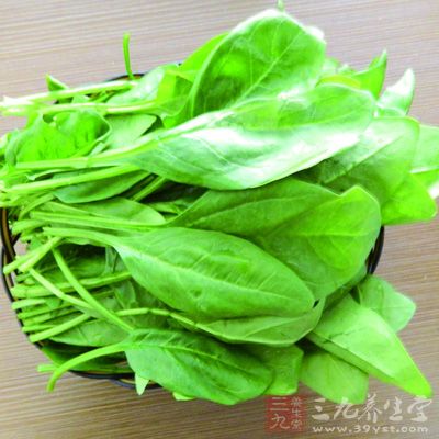 菠菜可以根据季节换成其它绿叶素