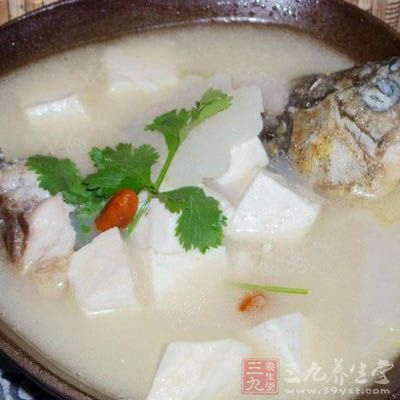 鯽魚豆腐湯