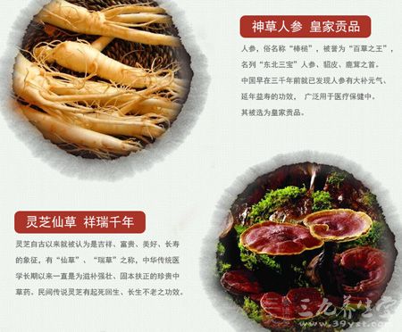 神草人参 皇家贡品 神草人参 皇家贡品