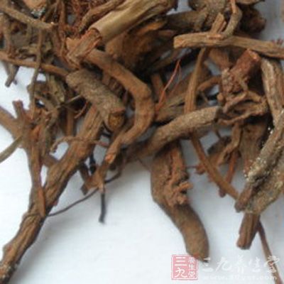 茜草提取物及人工合成的茜草雙酯，均具有升高白細(xì)胞作用