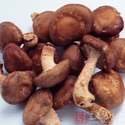 蘑菇可以益胃肠，化痰理气