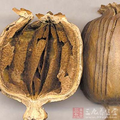 九仙散方剂功效-三九养生堂养生百科