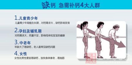 缺钙 急需补钙4大人群 缺钙 急需补钙4大人群