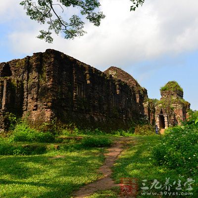 越南美山圣地遺址