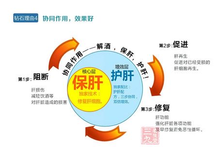 肝损伤,减轻饮酒等对肝脏造成的损害 肝损伤,减轻饮酒等对肝脏造成的损害