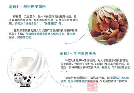 柳松菇,又名黄伞,是一种价值很高的核酸物质 柳松菇,又名黄伞,是一种价值很高的核酸物质