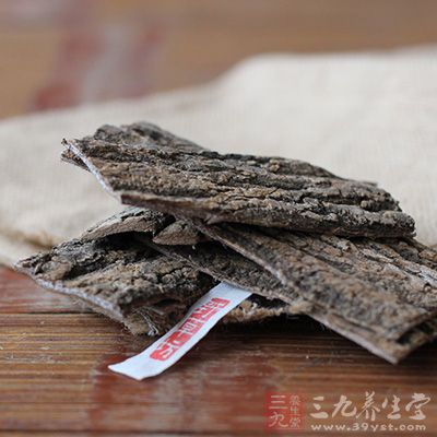 杜仲，能入肝补肾，补中益精气，坚筋骨，强志，治肾虚腰痛，久服，轻身耐老