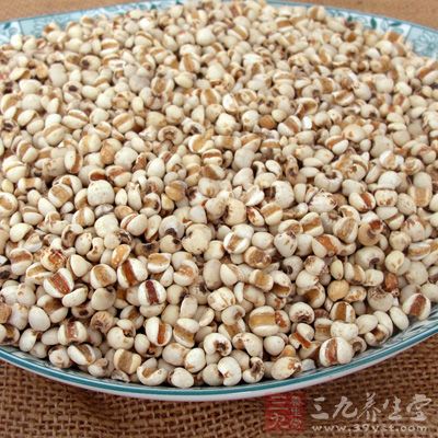 薏苡仁的功效与作用 薏苡仁治病药方有哪些(5