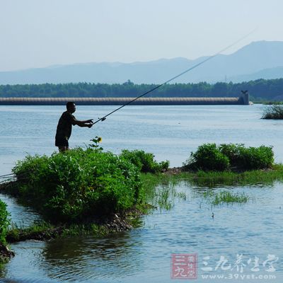 野钓与在养鱼塘钓鱼用饵方法也有区别