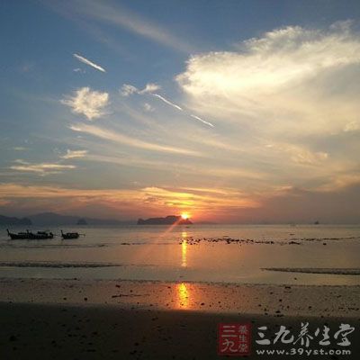 Koh Yao Noi家庭寄宿计划