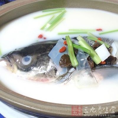 豆腐咸魚頭湯