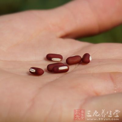 赤小豆是一种可食的模样似黄豆的红色豆类食物