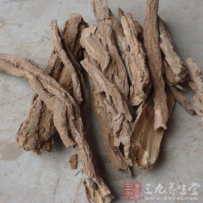 地骨皮的降壓作用除有中樞參與外，還可能與其阻斷交感神經(jīng)末梢及直接舒張血管的作用有關(guān)