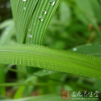 質(zhì)脆而富彈性，氣微，味淡