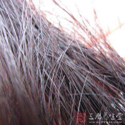 人体这处毛发竟<em>能反应</em>健康状况 - 三九养生堂