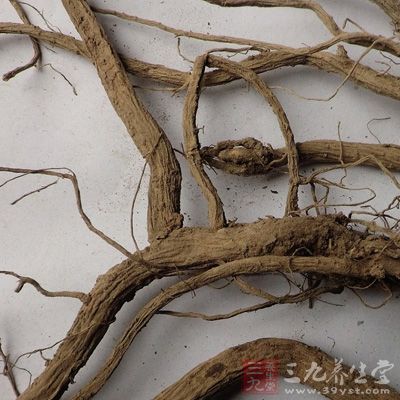 根茎短粗，长2～6厘米，径1～1.5厘米
