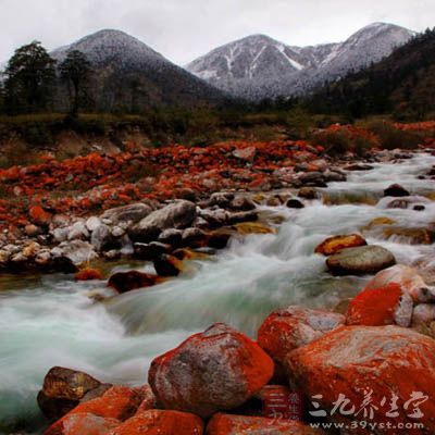 海螺溝風(fēng)景區(qū)