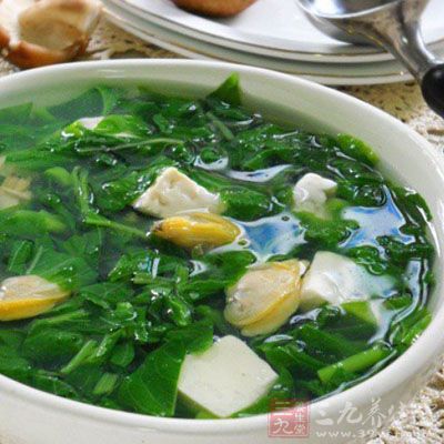 莧菜豆腐湯