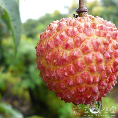 吃什么补肾虚 这些食物让男人雄风(3)