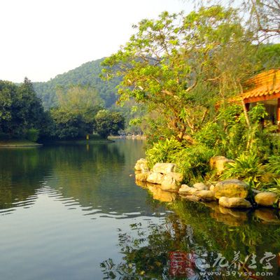 仙湖植物园