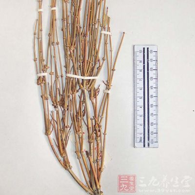 麻黄碱，是合成苯丙胺类毒品主要的原料