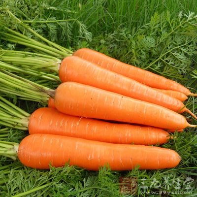 胃病怎么养 白领必知的养胃秘诀(9) - 三九养生