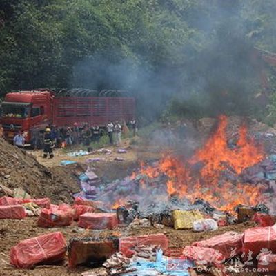 云南河口烧掉从越南走私入境冻品670吨