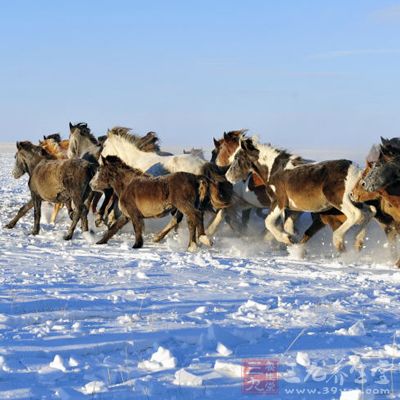 欣赏北国冰天雪地中的丰收