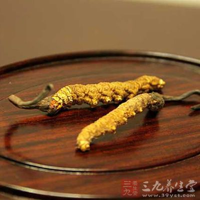 調(diào)節(jié)呼吸系統(tǒng)功能 冬蟲夏草具有擴(kuò)張支氣管、平喘、祛痰、防止肺氣腫的作用