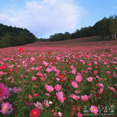 江风貌区位于南京城北部滨江地区