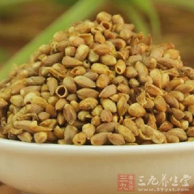 用法：将柏子仁炒香，轻轻捣破，开水泡代茶饮