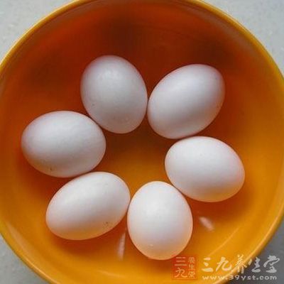 鸽子蛋怎么吃最营养 这样吃最营养