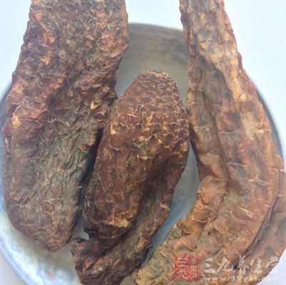 肉苁蓉用水洗净