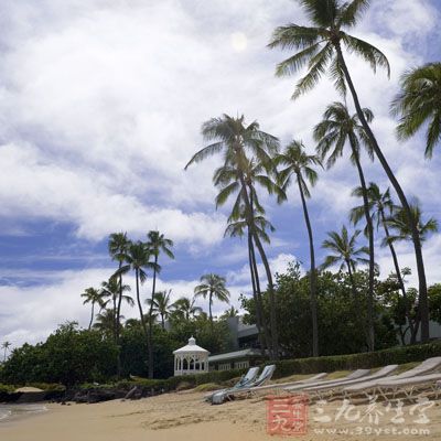 夏威夷群島