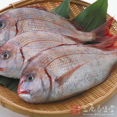 魚類食物中含有各種豐富的微量食物