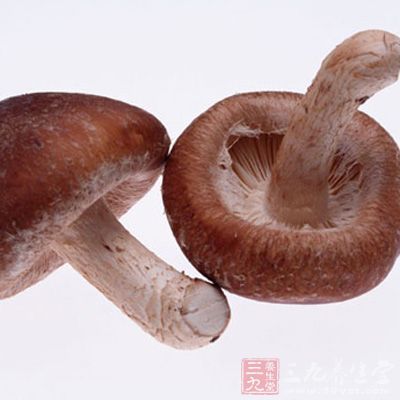 蘑菇100克 蘑菇100克