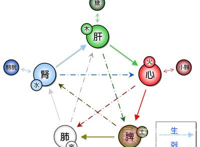 五脏养生 中医告诉你五脏该如何养
