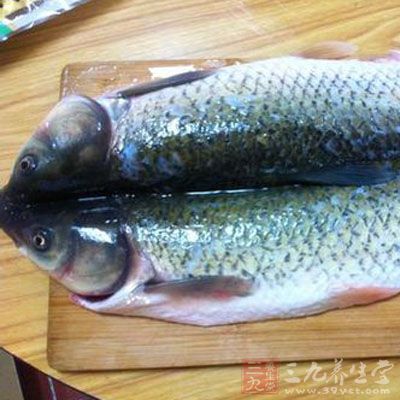 將魚脊骨從腹內(nèi)斬斷，可以防止魚蒸熟后由于魚骨收縮而使魚的整體變形