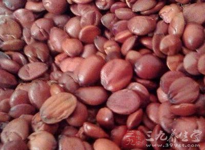 酸枣仁20克 酸枣仁20克