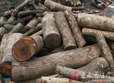 风湿痛的治疗偏方-三九养生堂养生百科