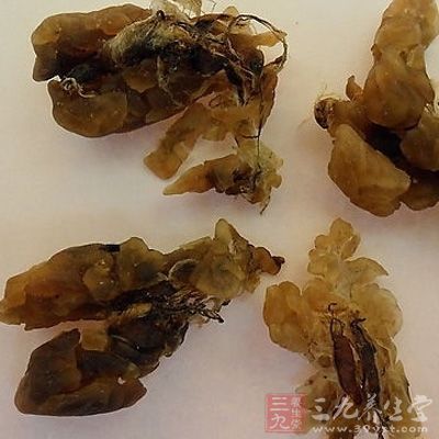 雪蛤的食用方法