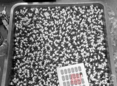 查扣假骨节灵成品、半成品逾1.6万盒