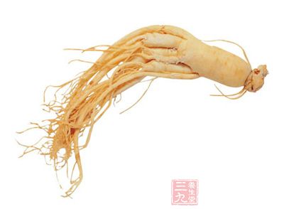 用人参