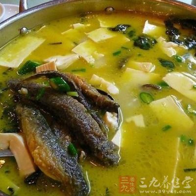 泥鳅钻豆腐