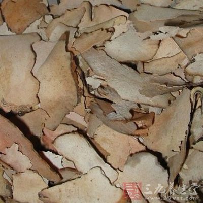 治疗慢性湿疹中药方剂